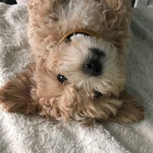 Meet your Posher, Aleyda